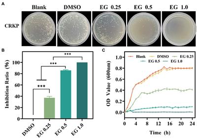 Eugenol eliminates carbapenem-resistant Klebsiella pneumoniae via reactive oxygen species mechanism